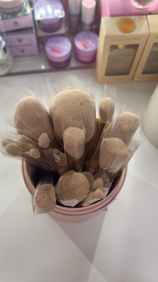 Brush Set 24 Pc Lt Pink