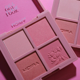 Look Out Blush Face Palette