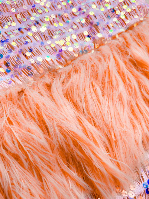 Sequin & Feather Top