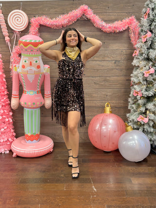 Sequin Belt Fringe Dress