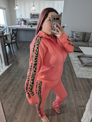 Jacket Jogger Leopard Trim Set